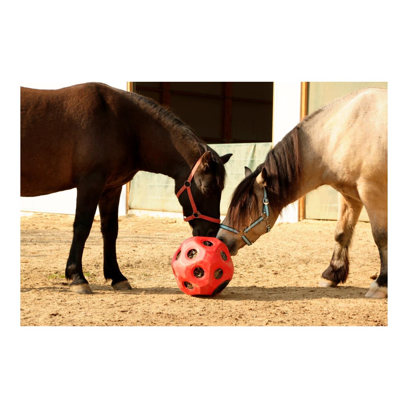 HeuBoy Futterspielball - blau