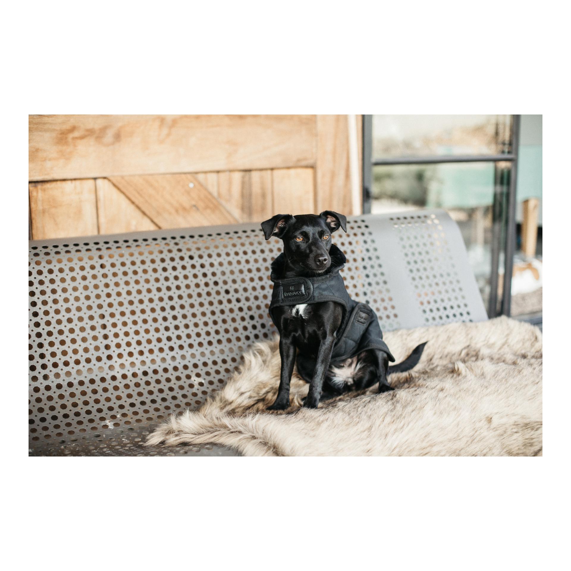 Hundemantel Original - black/black