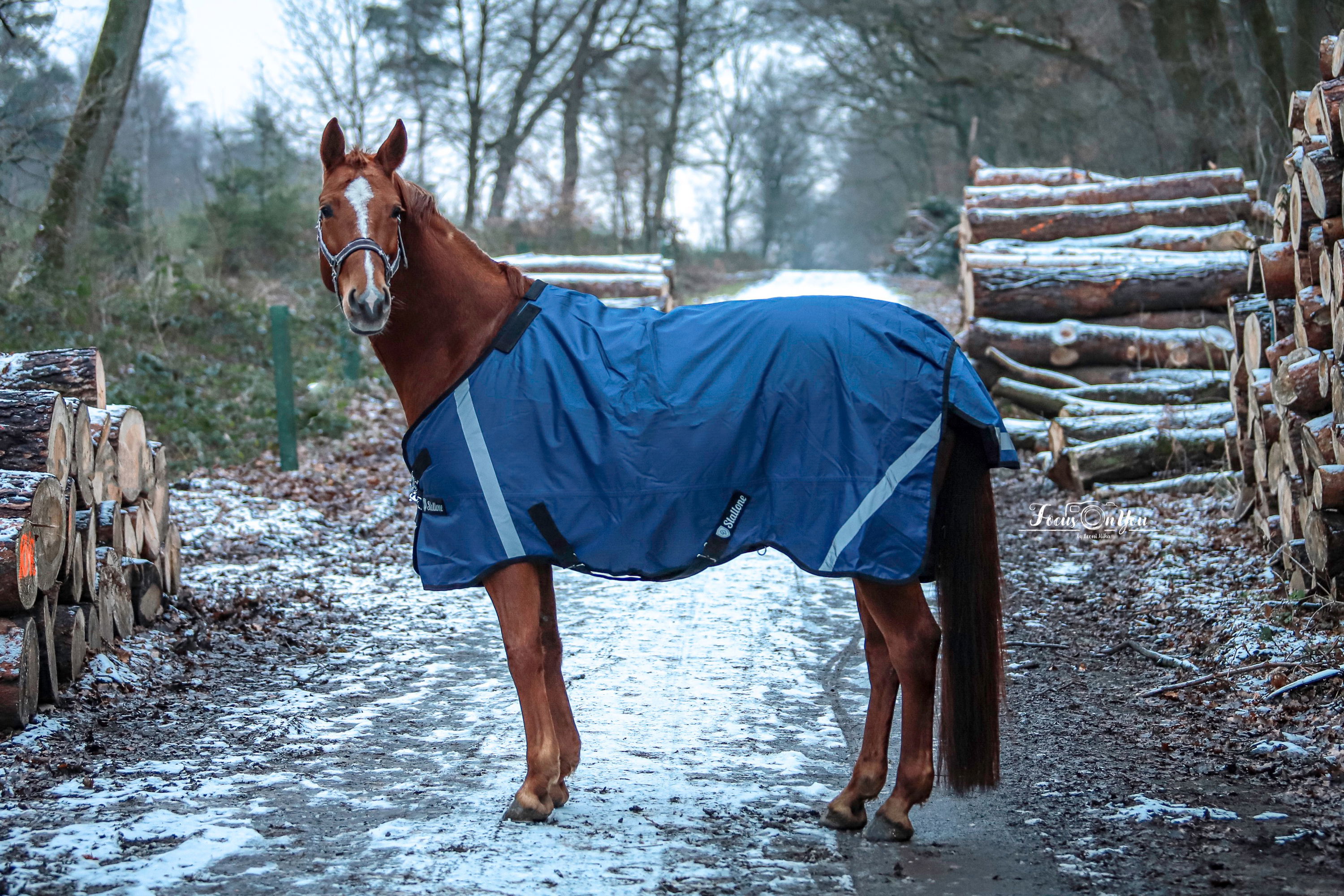 Decken-Set Weidedecke Outdoor Guard 100 g mit Halsteil