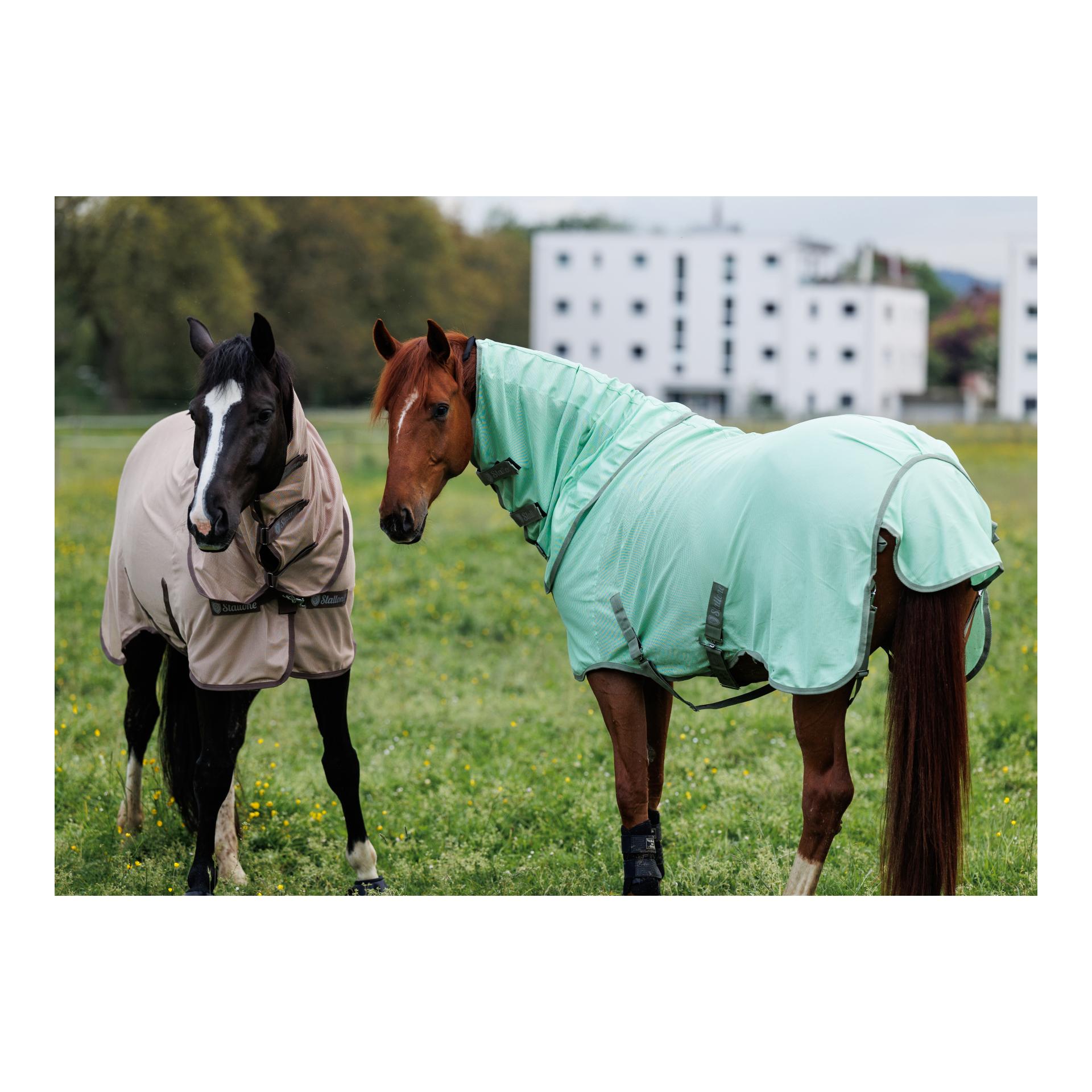 Fliegendecke Flybuster