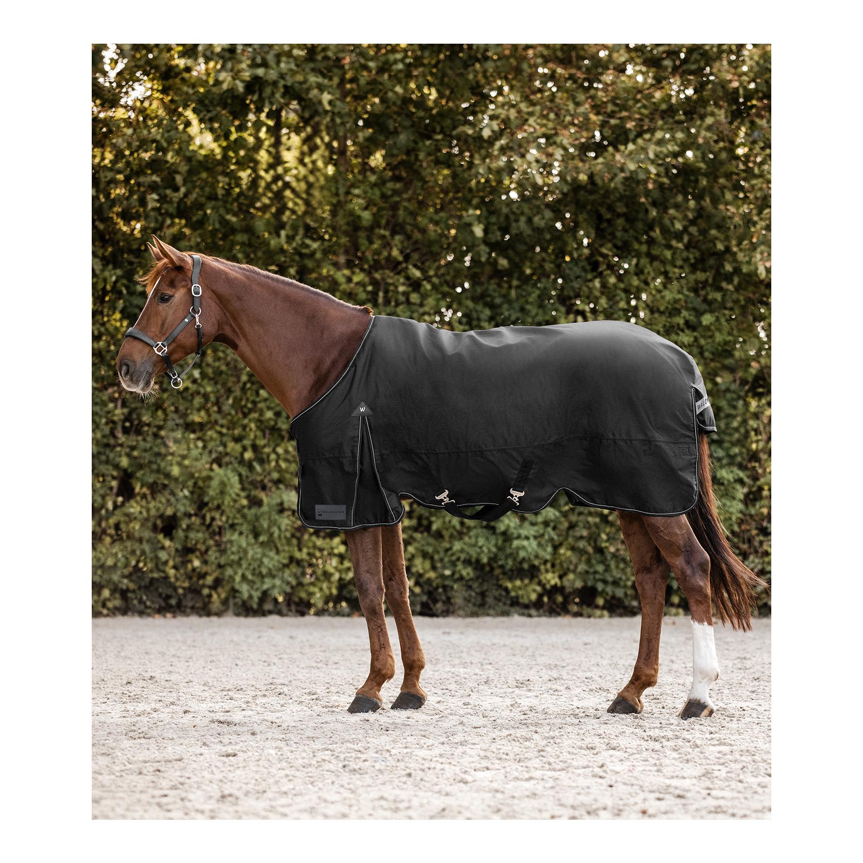 Waldhausen Outdoordecke Arctic, 50 g Grösse Pferdedecke: 115 cm