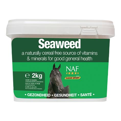Seaweed 