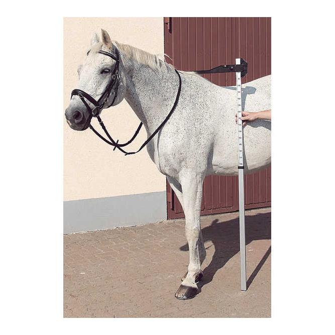 Stockmass für Pferde