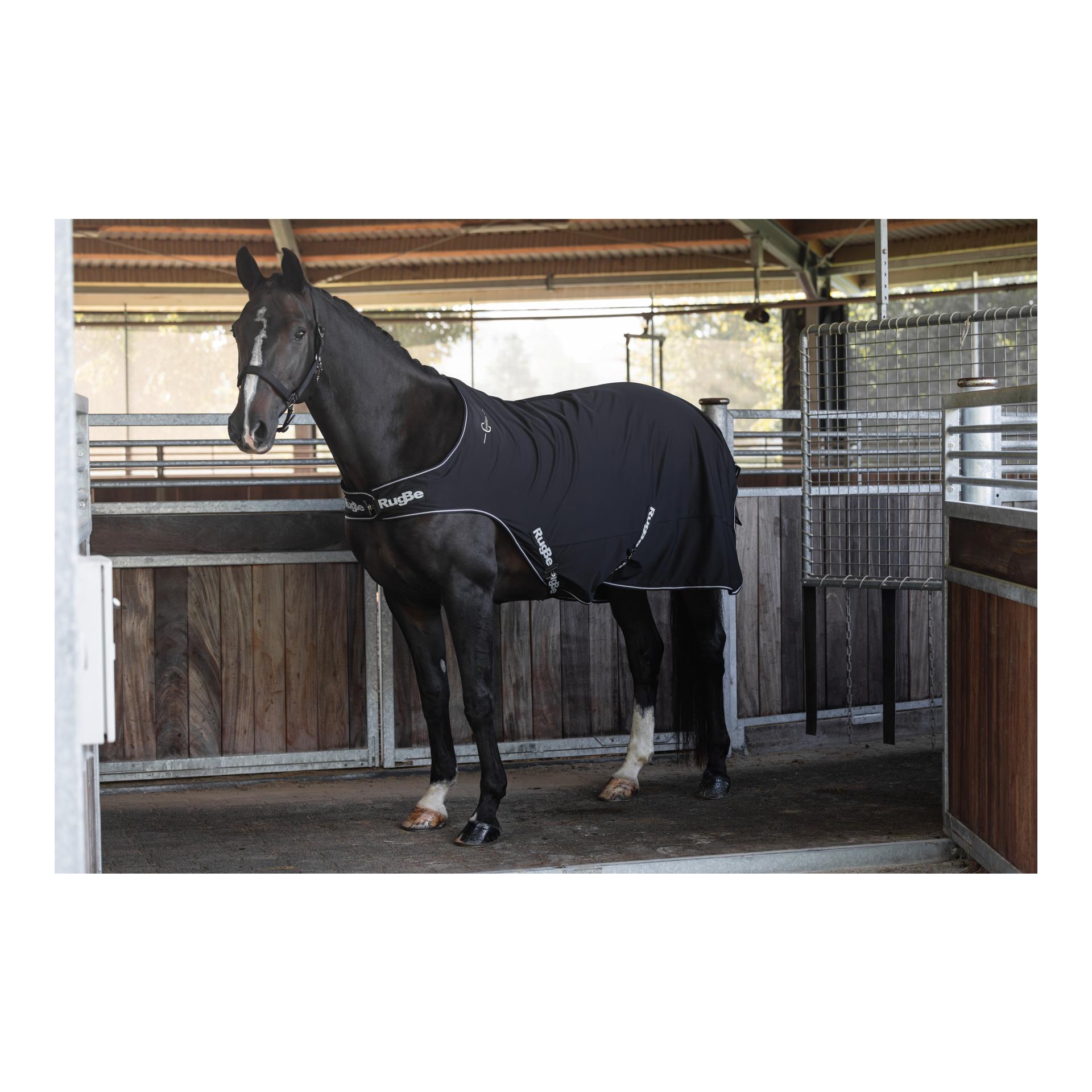 Führanlagendecke RugBe