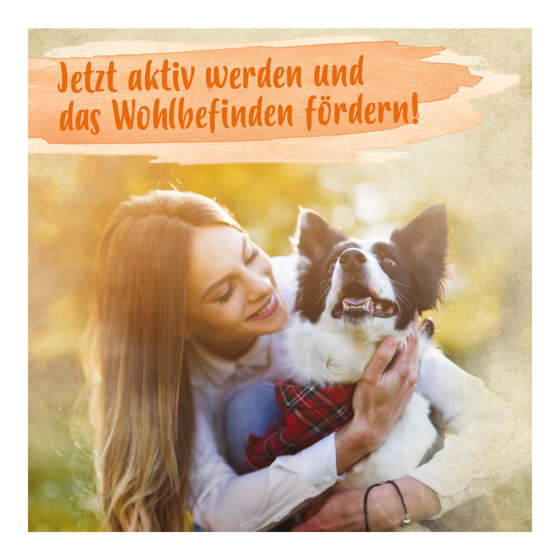 Bierhefe Pulver - Futterergänzung für glänzendes Fell & kräftige Haut