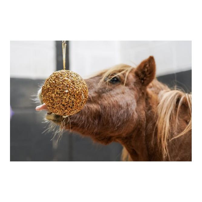 Müslikugel Apfel Müslikugel Apfel