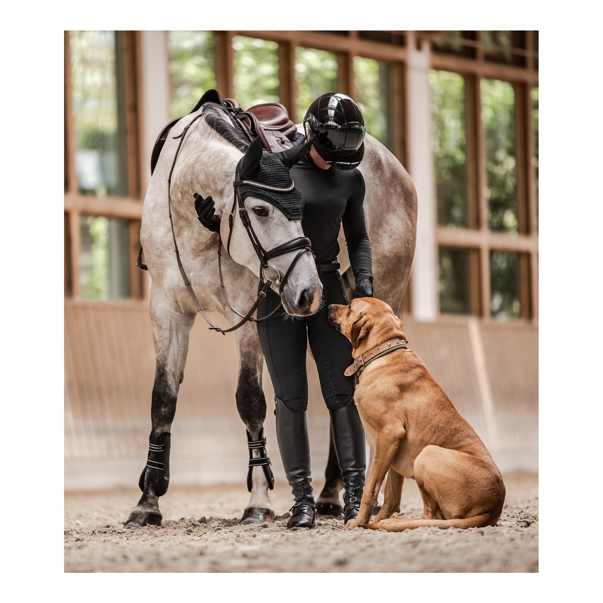 Reithelm H24 Lady Glossy