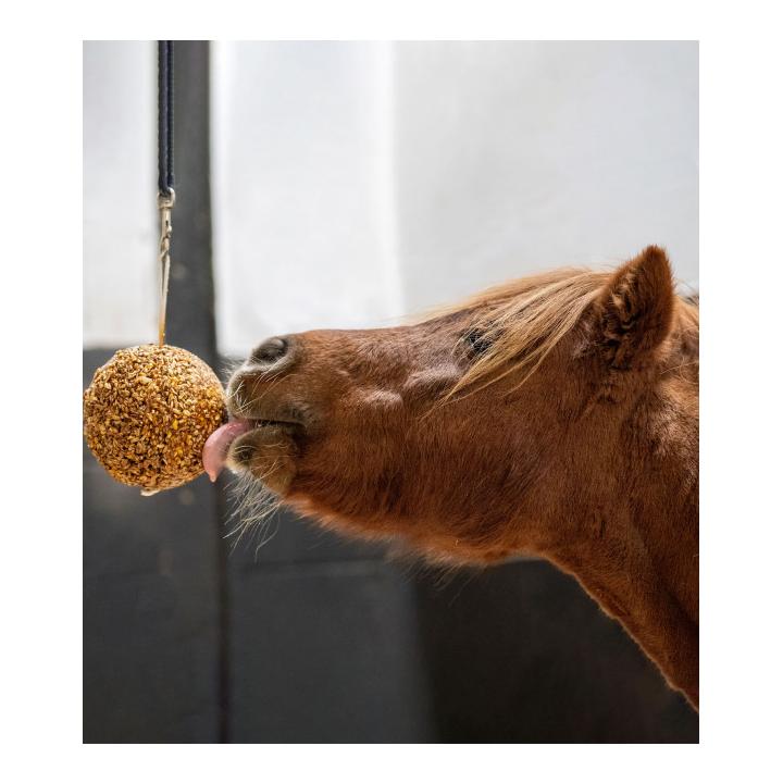 Müslikugel Apfel Müslikugel Apfel