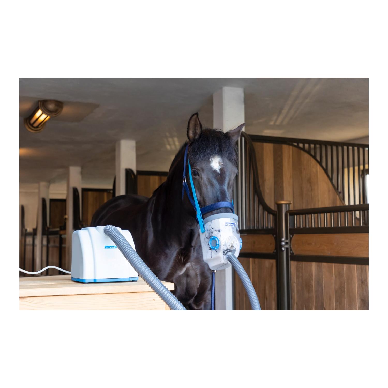 Ultraschall-Inhalator für Pferde AirOne