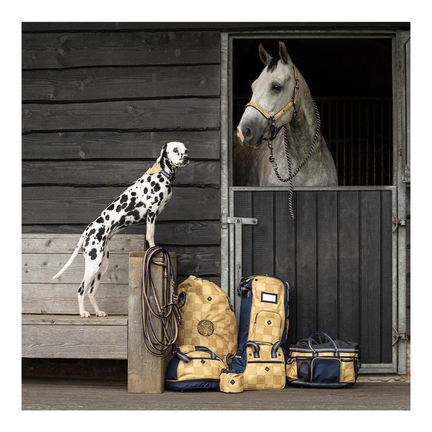 Stiefeltasche Collection