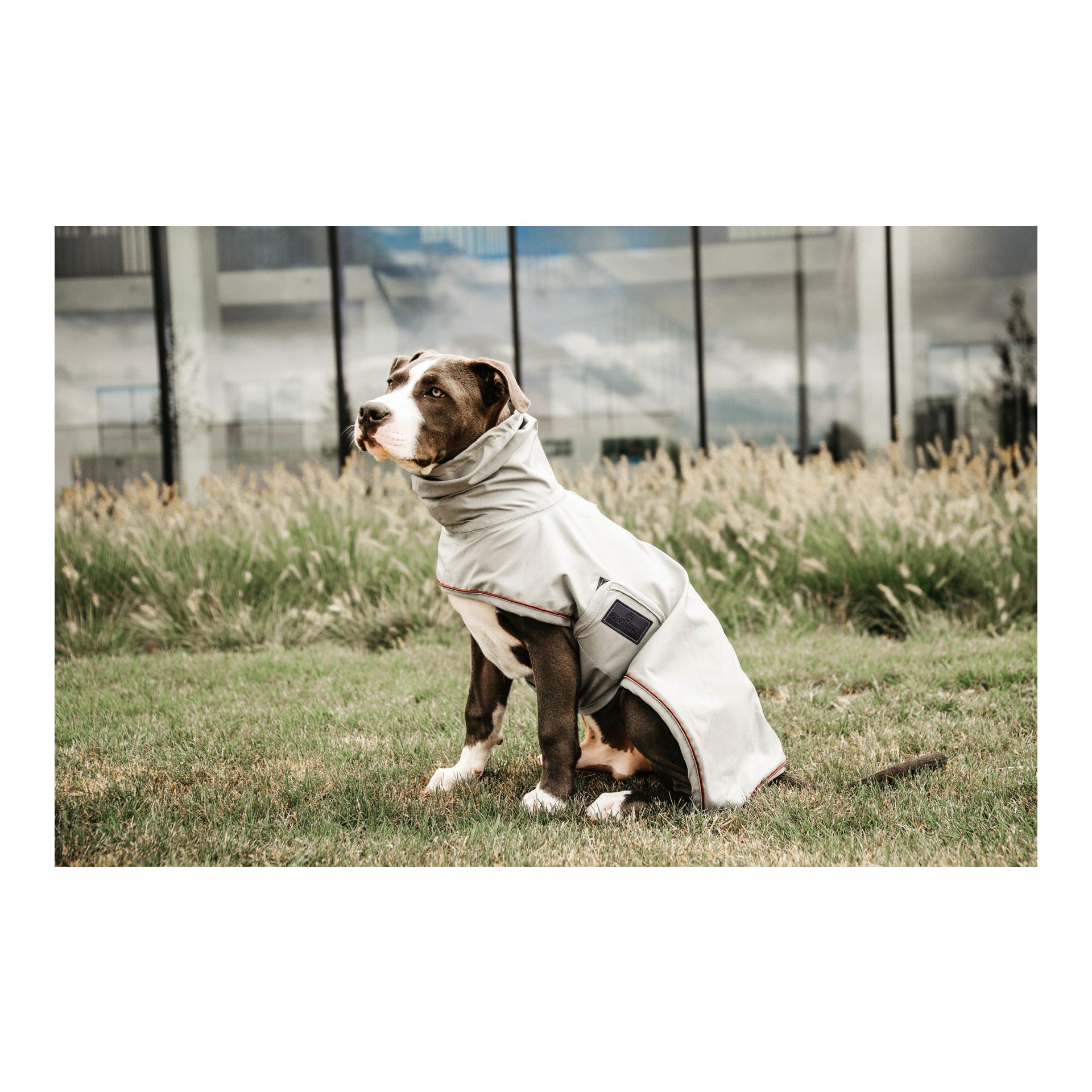 Hunde Regenjacke