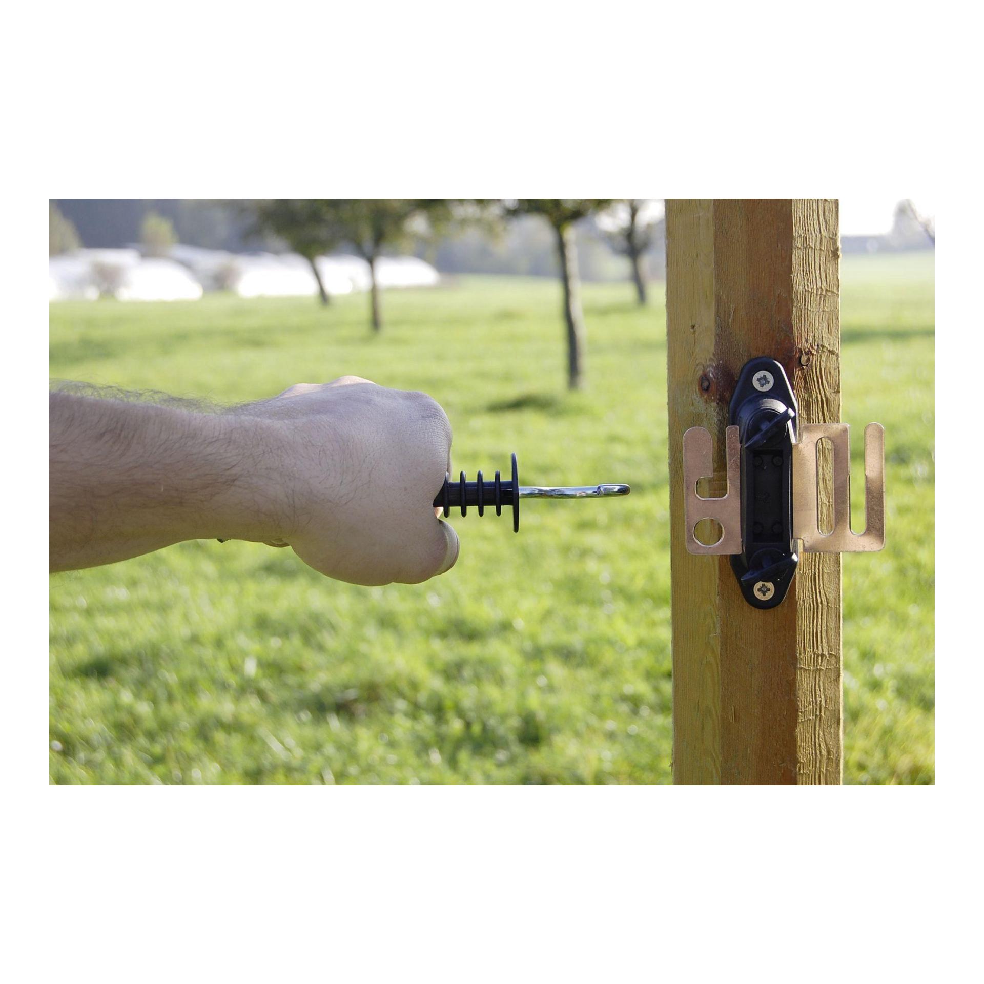 Flexigate mit 40 mm-Band