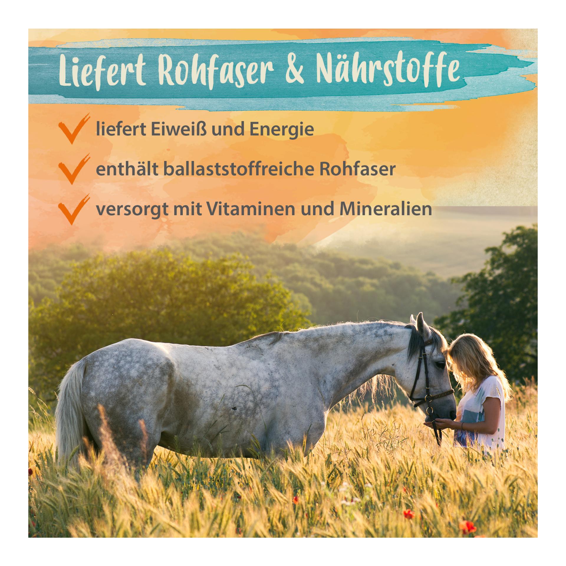 Bierhefe Bt - Futterergänzung für glänzendes Fell & kräftige Haut