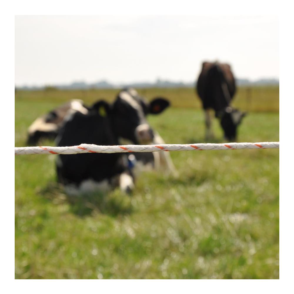 Duopack Vidoflex 9 Plus