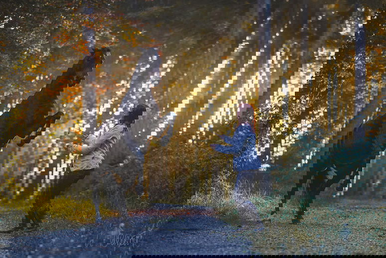 SRuffieuxPferd2 SRuffieuxPferd2
