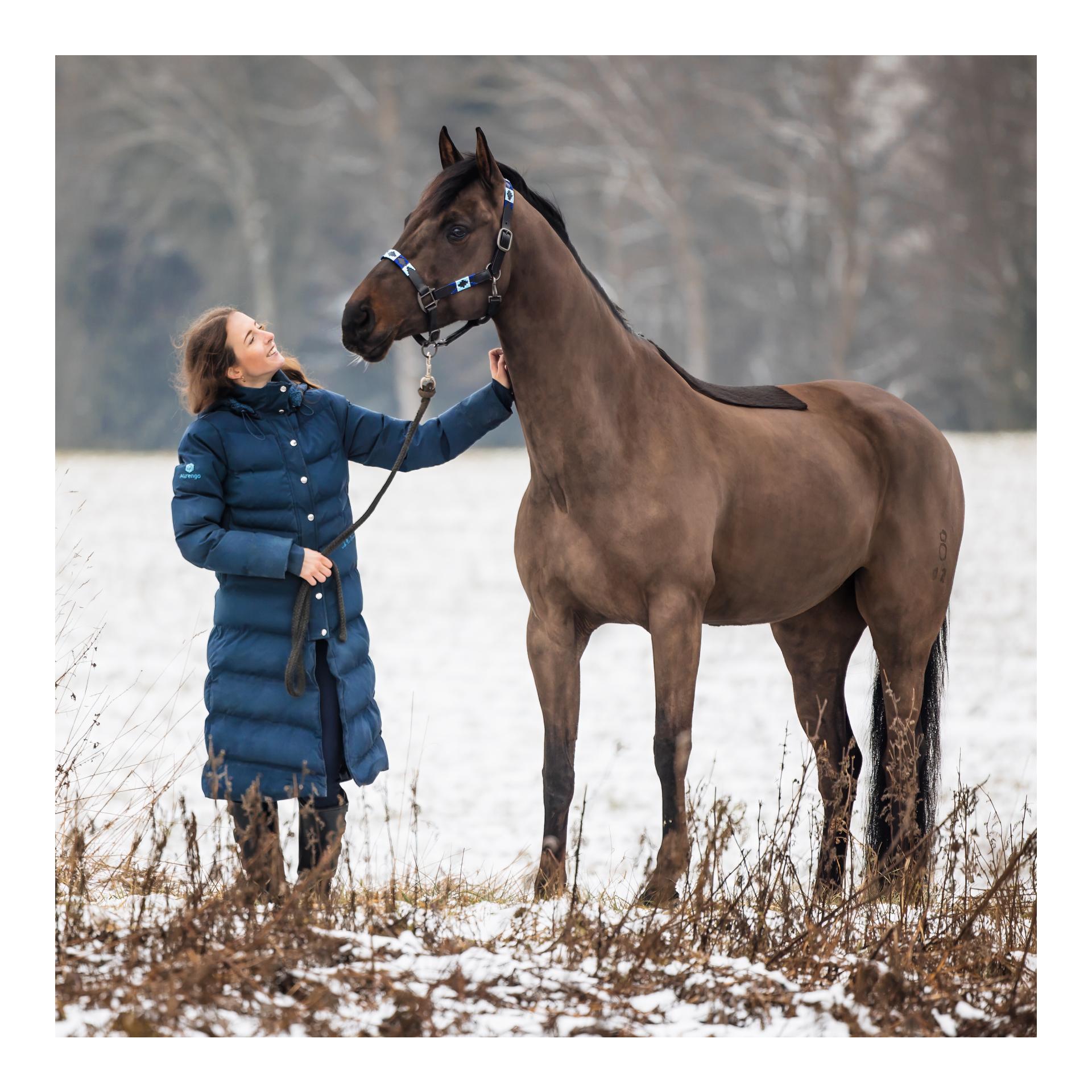 Lederhalfter Colorfun