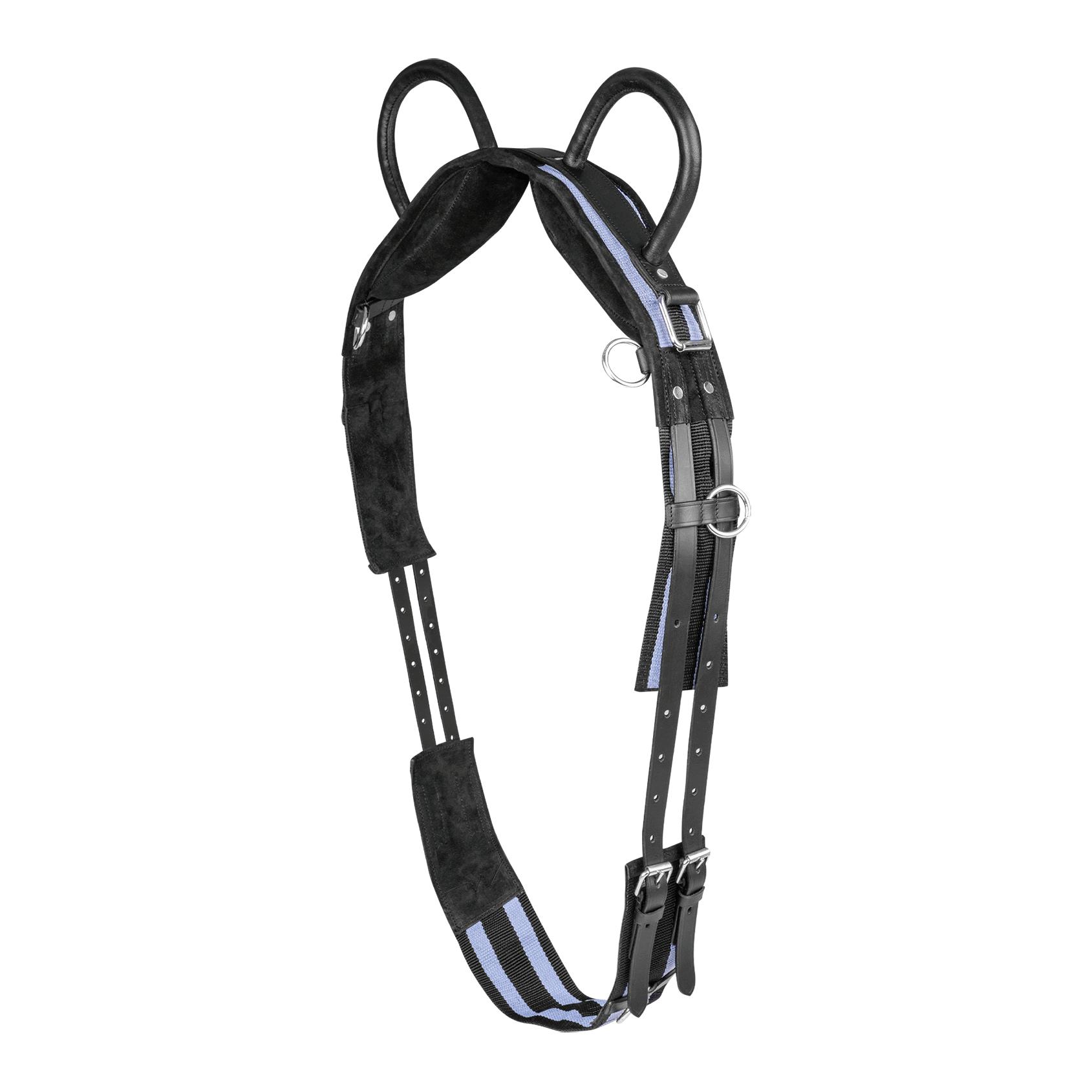 Longiergurt mit zwei Handgriffen synthetik