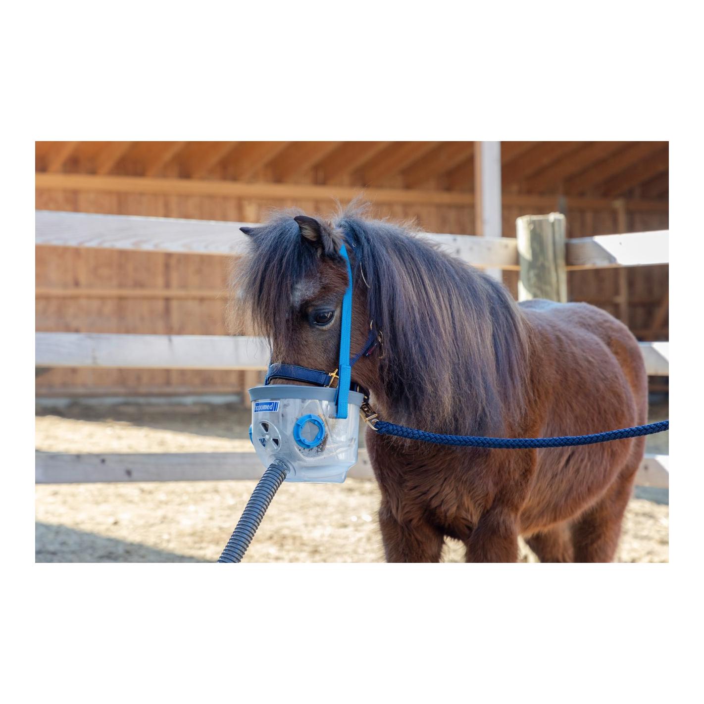 Inhalationsmaske für AirOne