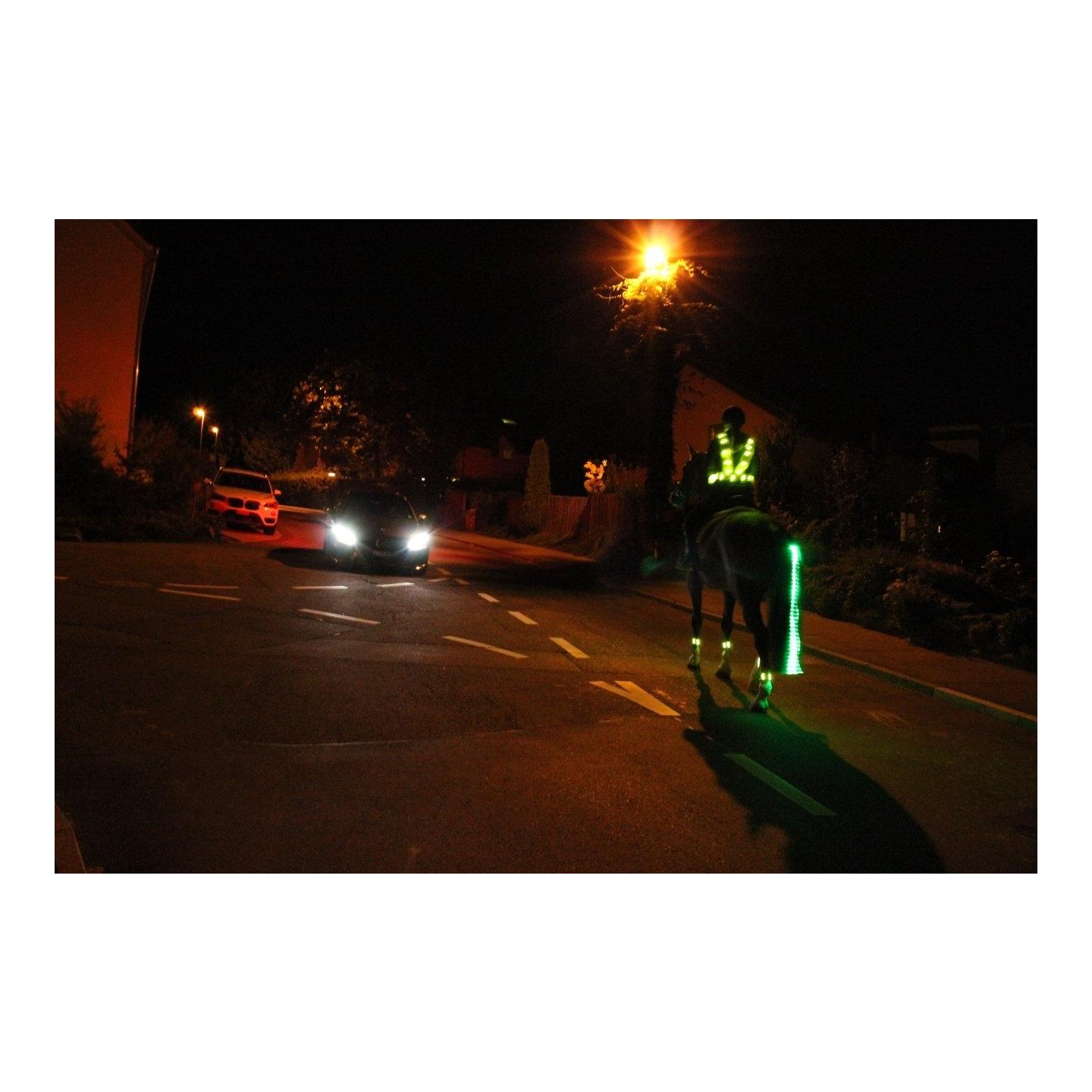 LED Schweifbeleuchtung Long 2.0