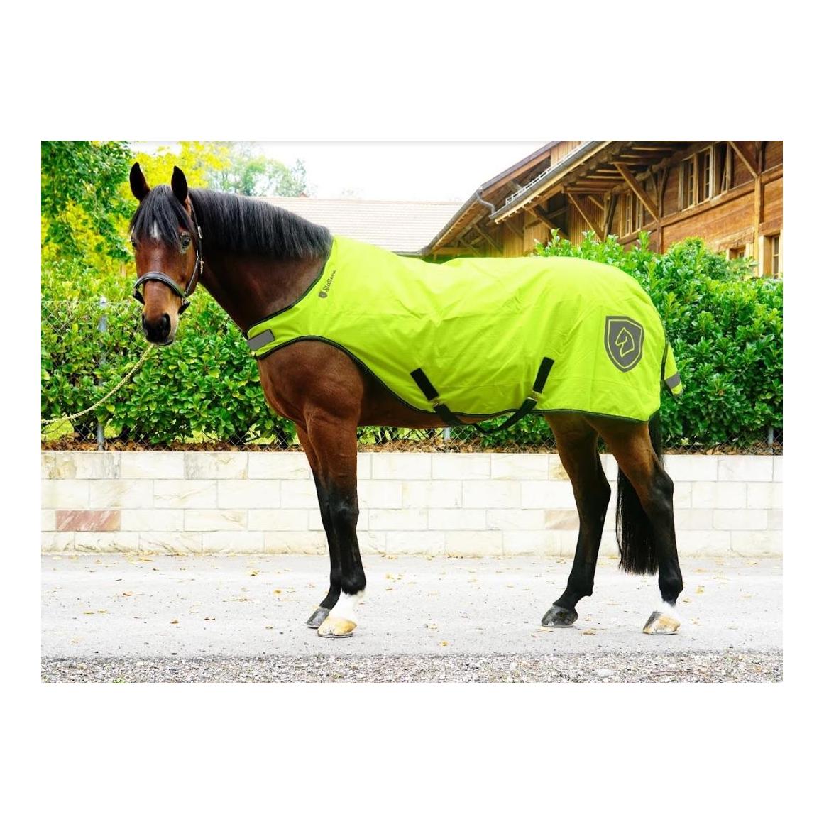Walker Rug 100 g Walker Rug 100 g