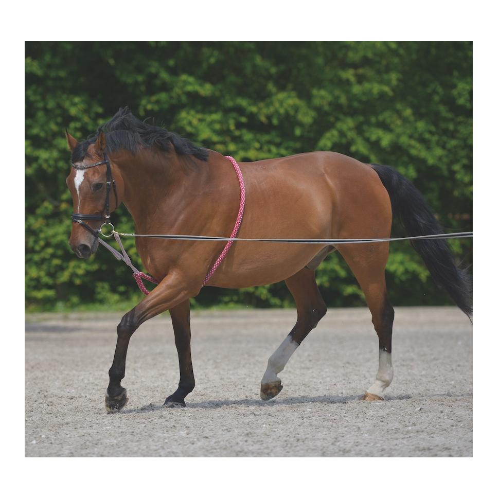 Longierhilfe - rot/ grau Longierhilfe - rot/ grau