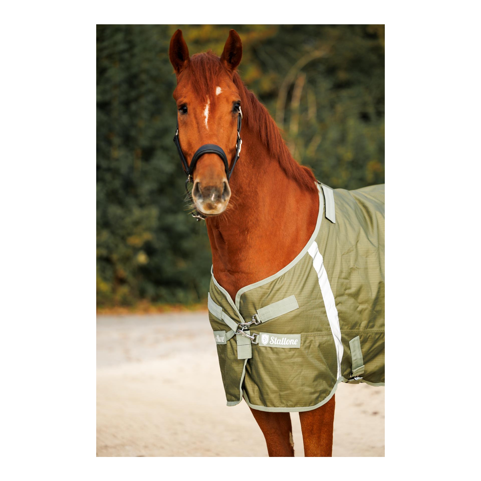 Weidedecke 200 g Outdoor Guard