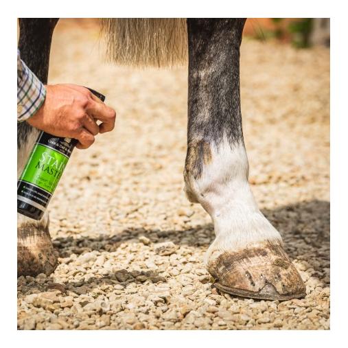 Stainmaster Stainmaster