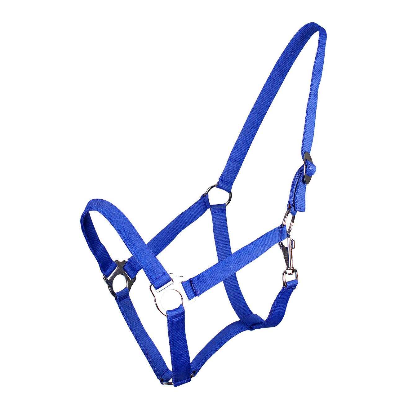 Nylonhalfter mit Schiebeschnalle - kobaltblau