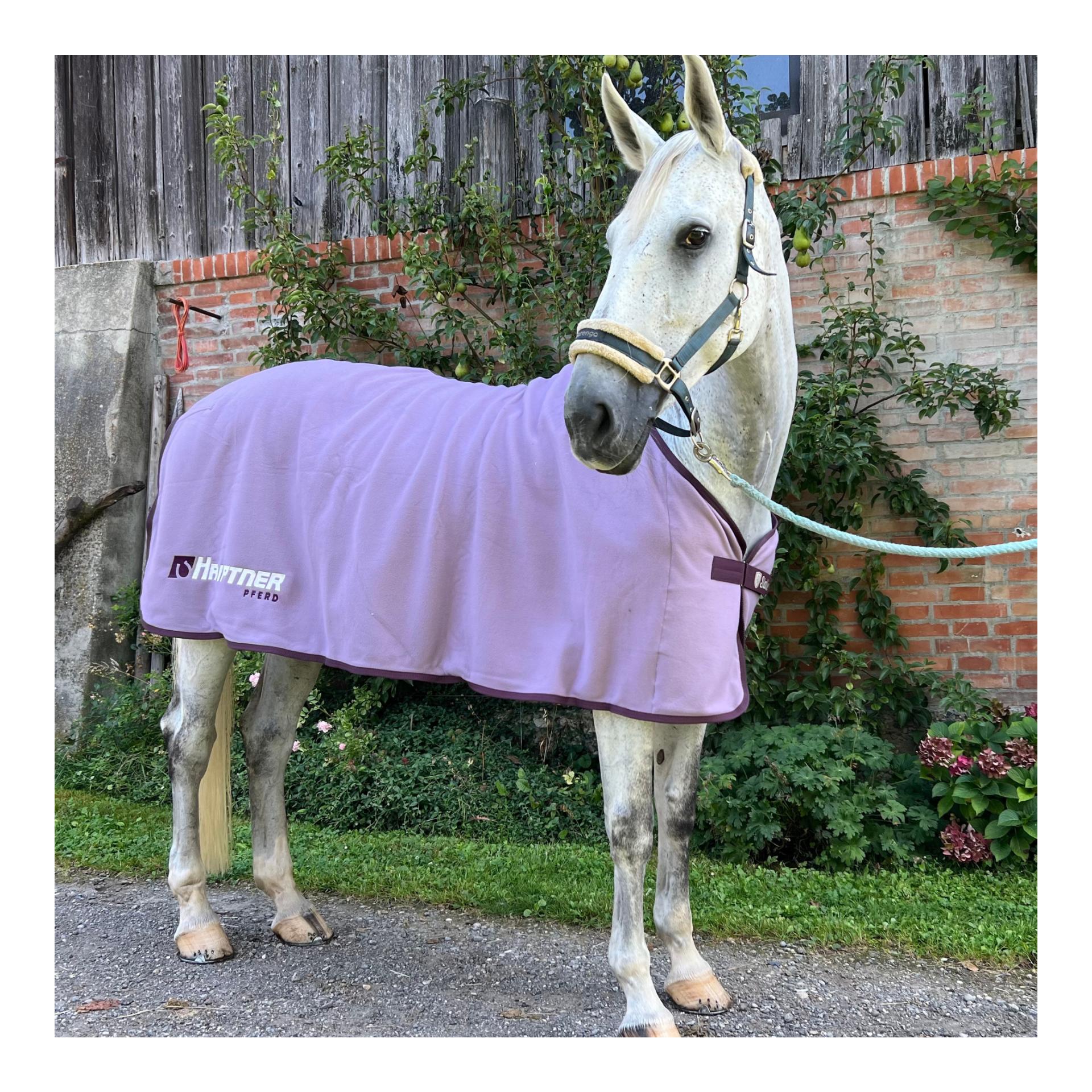Abschwitzdecke Hauptner Pferd