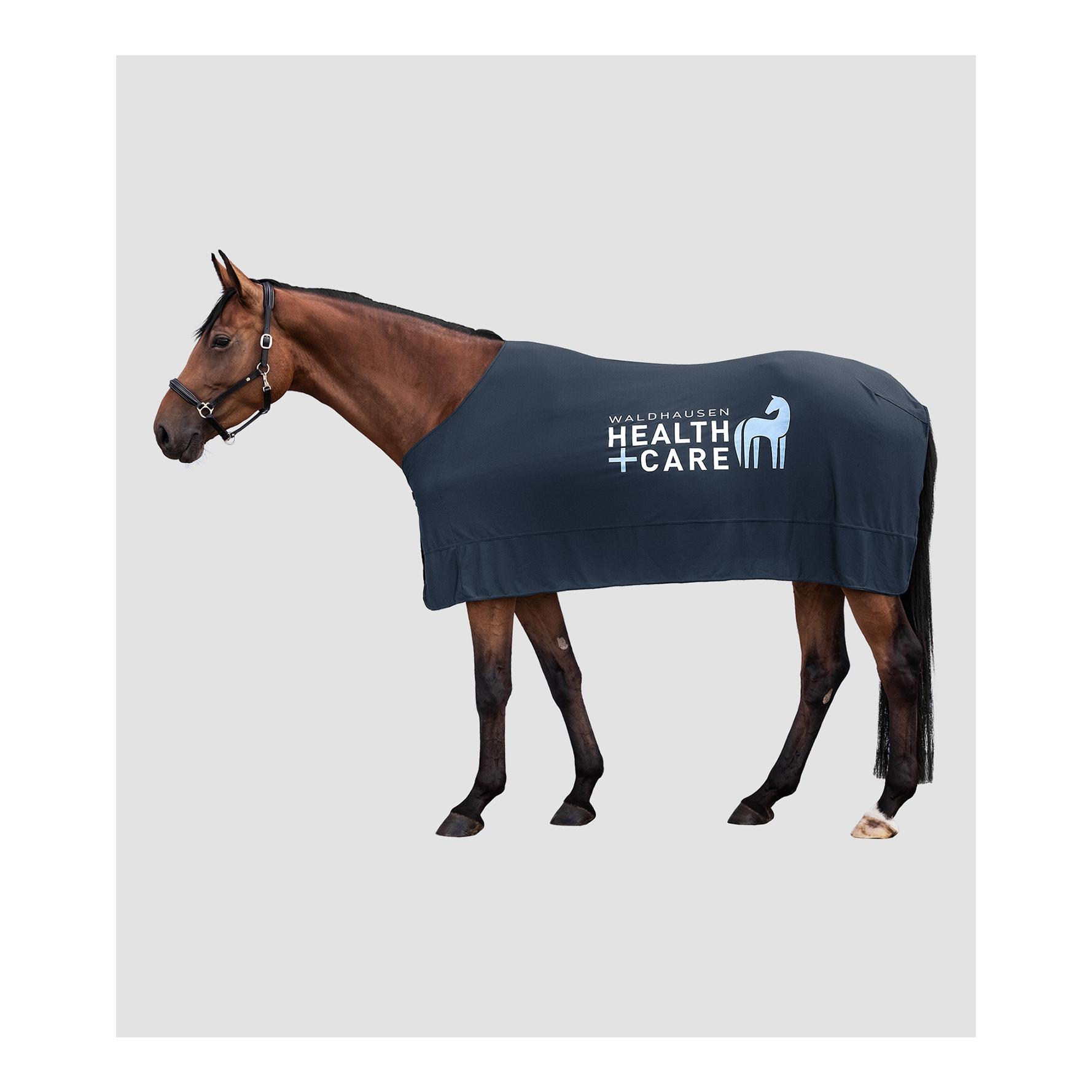 Waldhausen Health + Care Ice Layer Decke