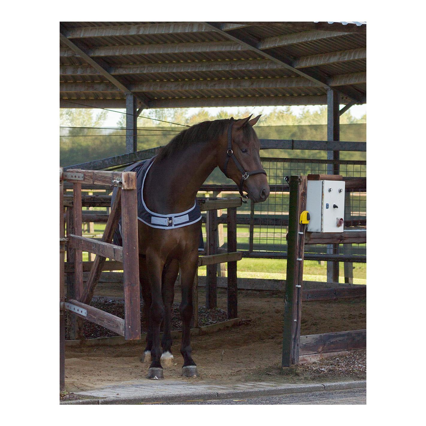 Walkerdecke 0 g - navy