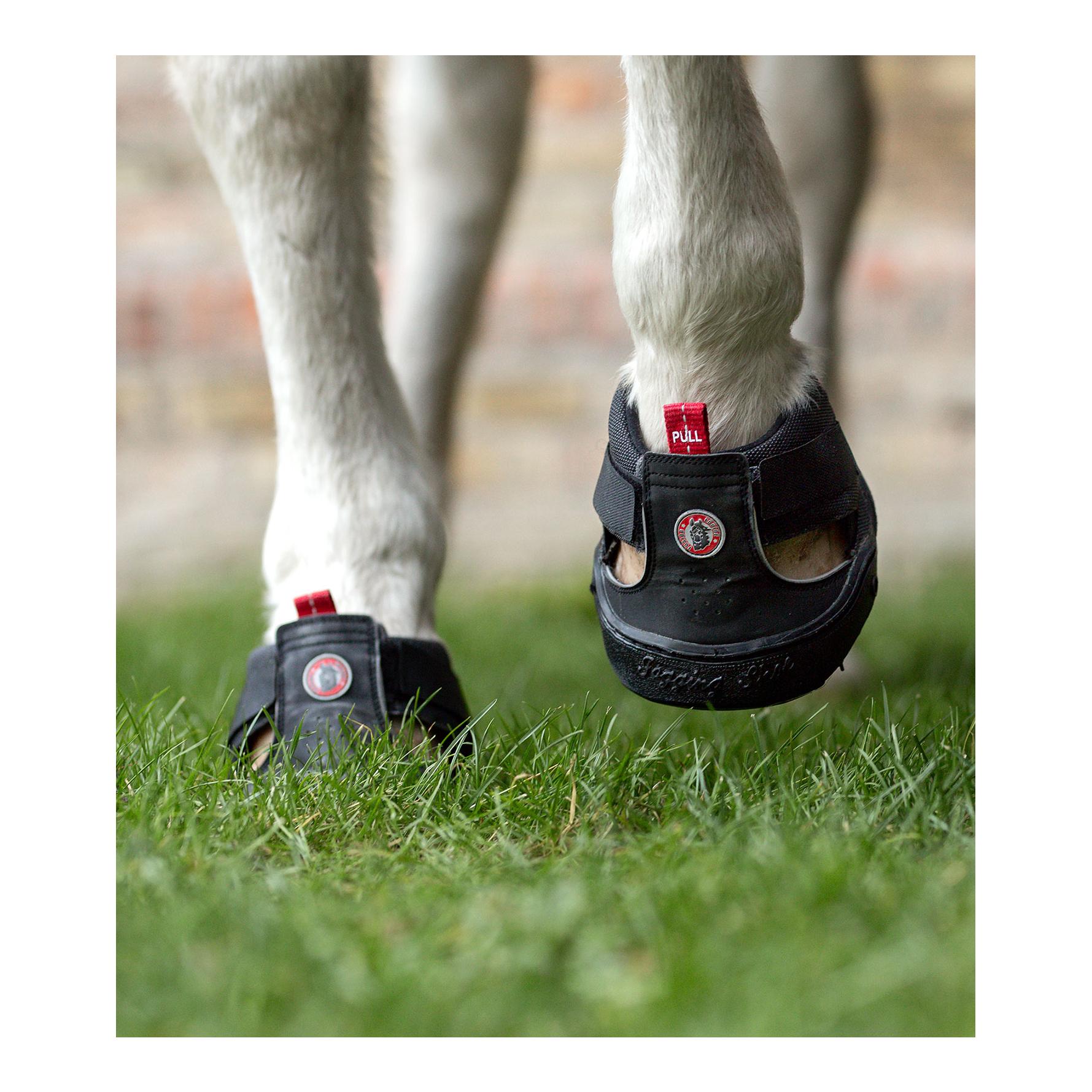 Equine Fusion Trekking Shoe Regular