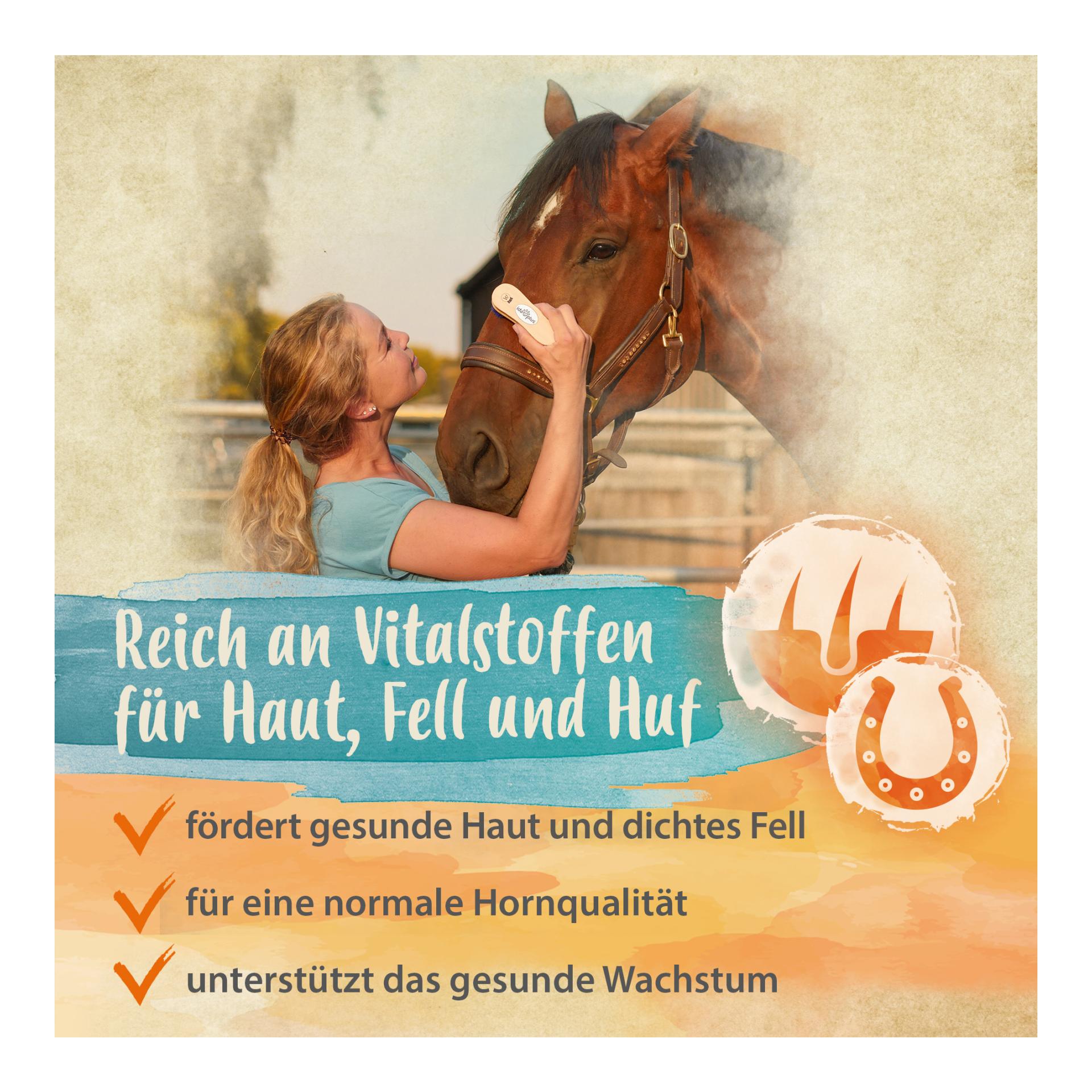 Bierhefe Bt - Futterergänzung für glänzendes Fell & kräftige Haut