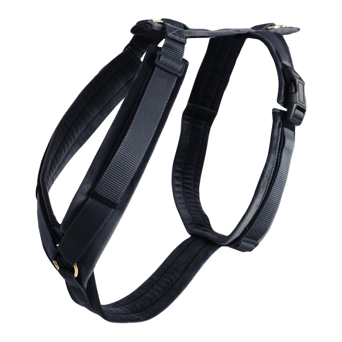 Hundegeschirr Active Velvet