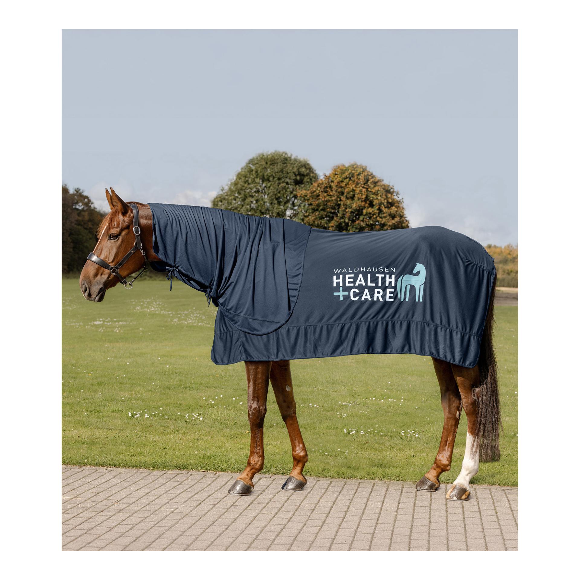 Waldhausen Health + Care Ice Layer Decke