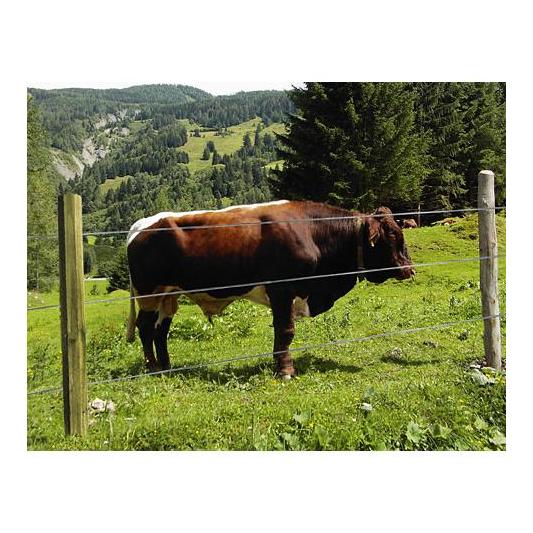 Octo Wood - Streckenpfahl - holz