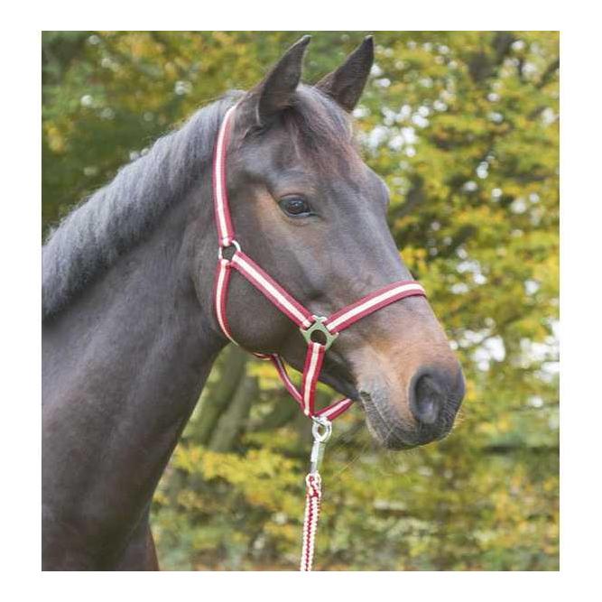 Nylonhalfter Hippo - bordeaux/beige