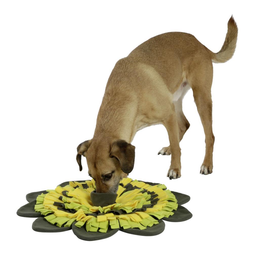 Schnüffelteppich Sunflower - gelb/grün