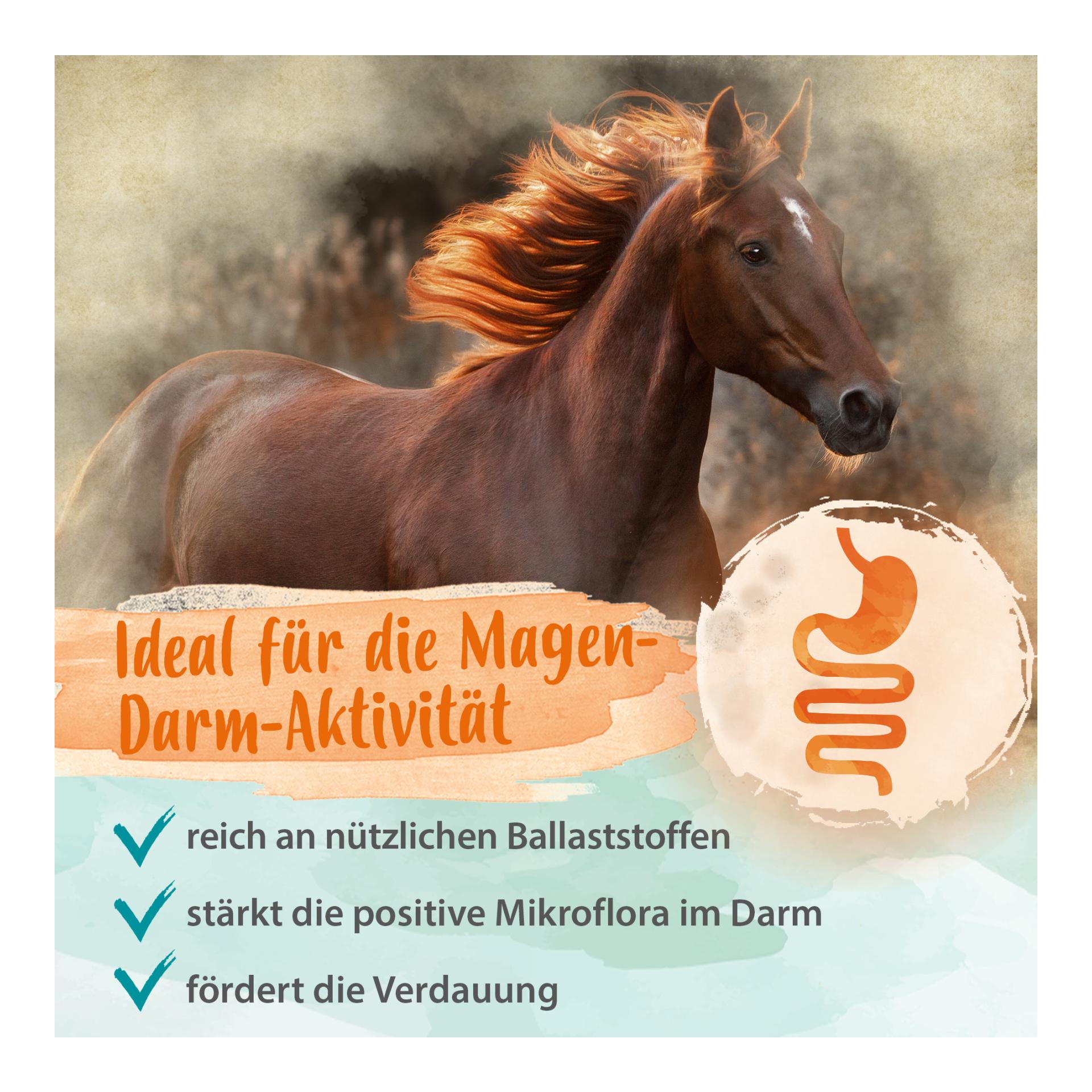 Bierhefe Bt - Futterergänzung für glänzendes Fell & kräftige Haut