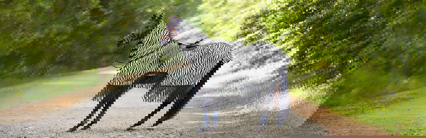 HPP-Slider-Insektenschutz