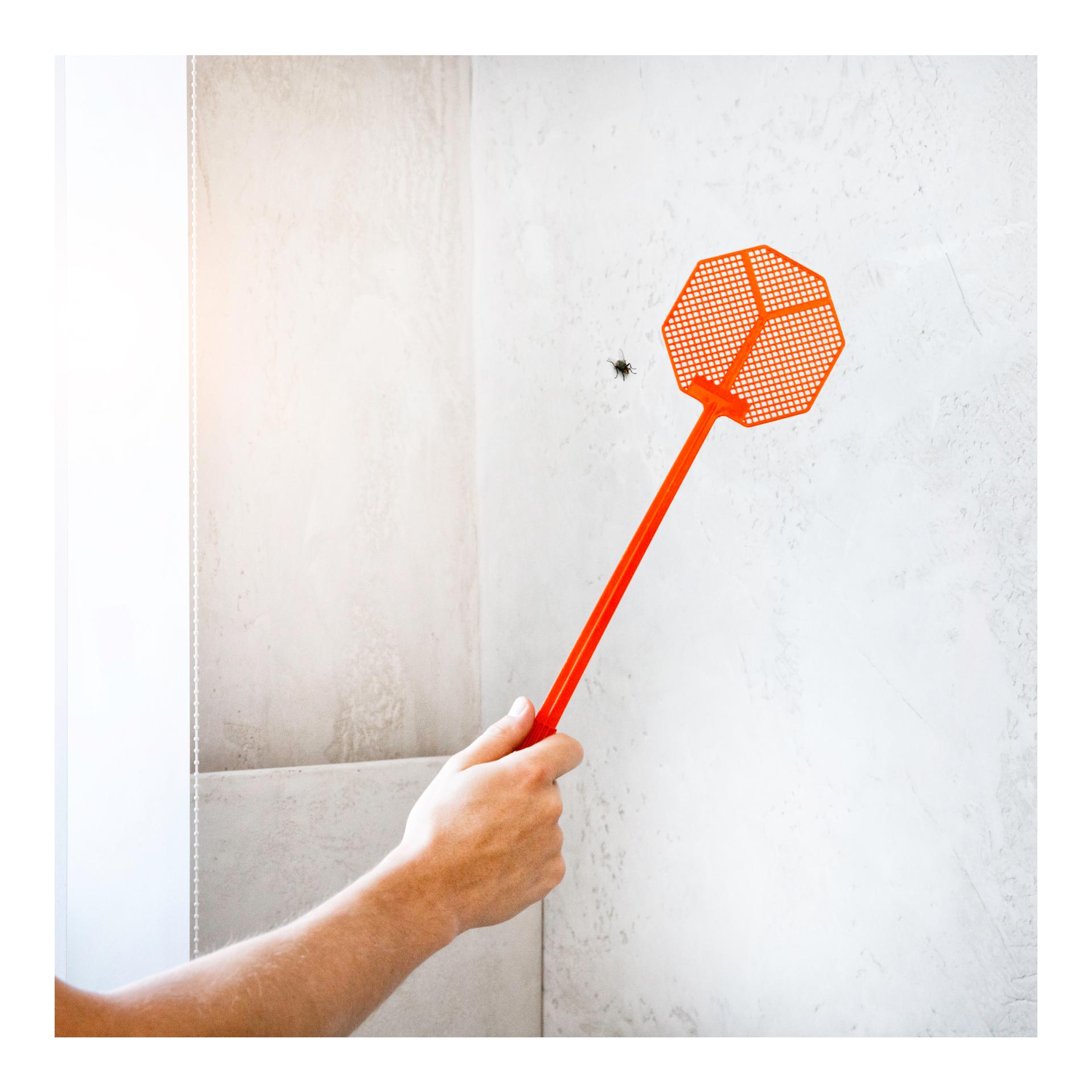 Fliegenklatsche - assortiert