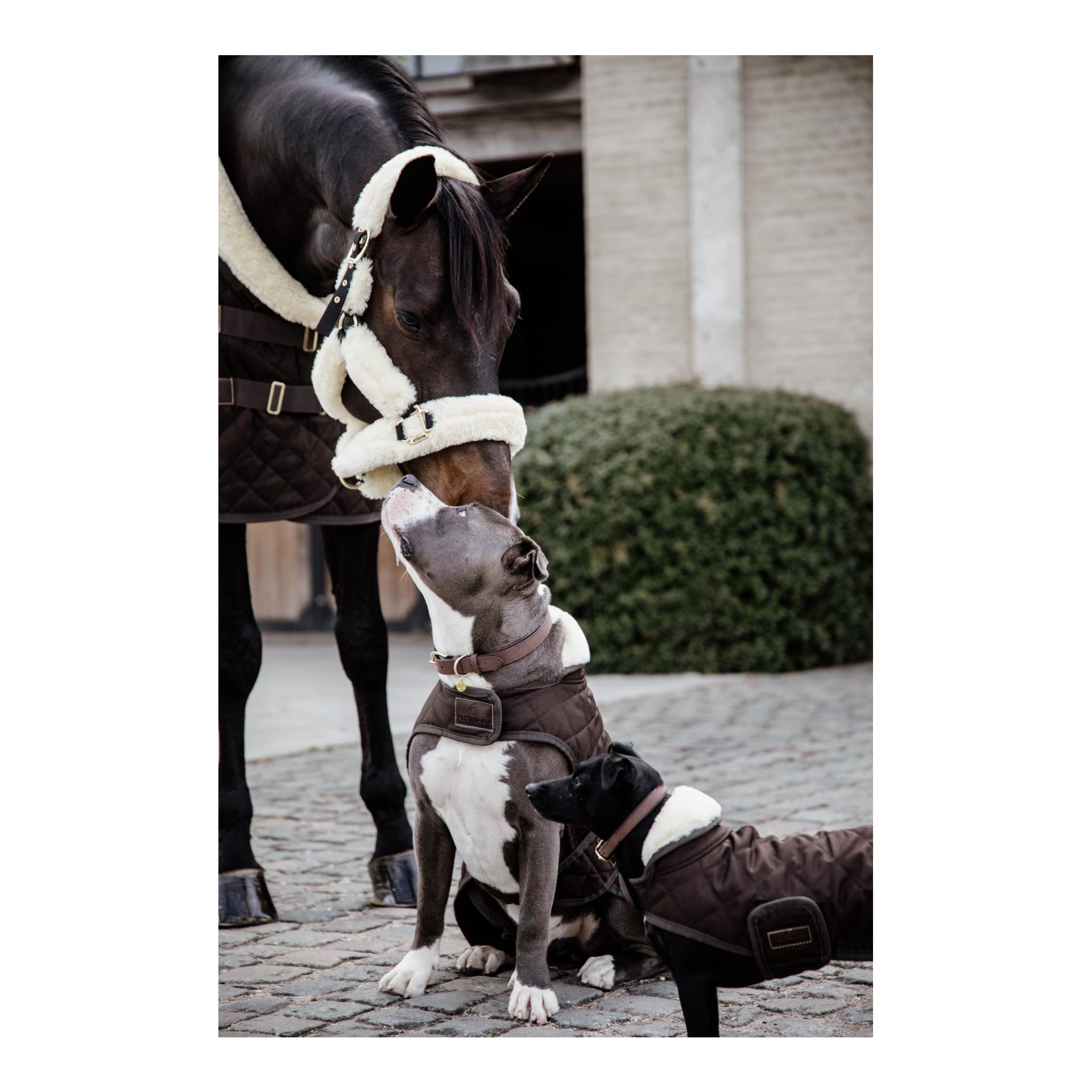 Hundemantel Original - brown