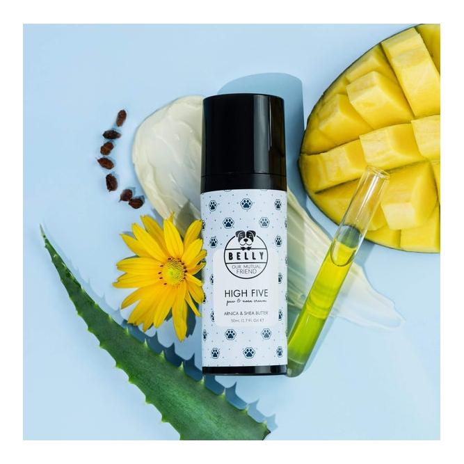 Pfoten- & Nasenpflege High Five Paw & Nose Cream