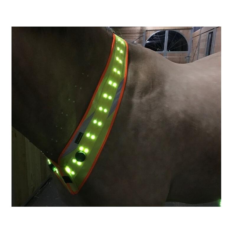 LED Leuchthalsriemen 2.0