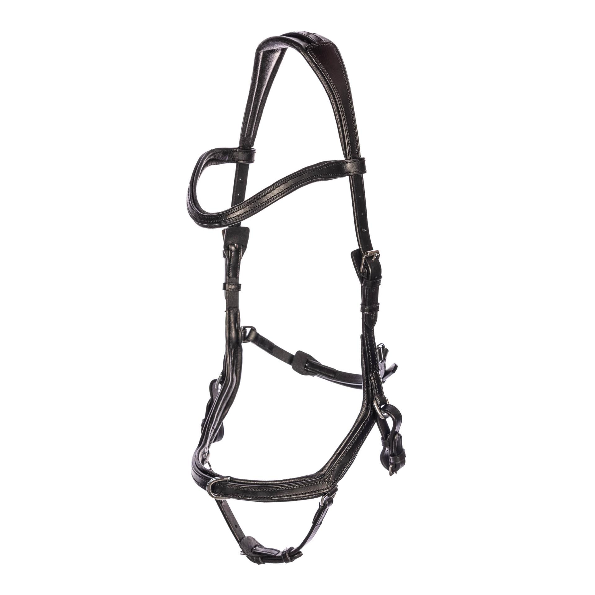 EQUES Zaumzeug Start Up