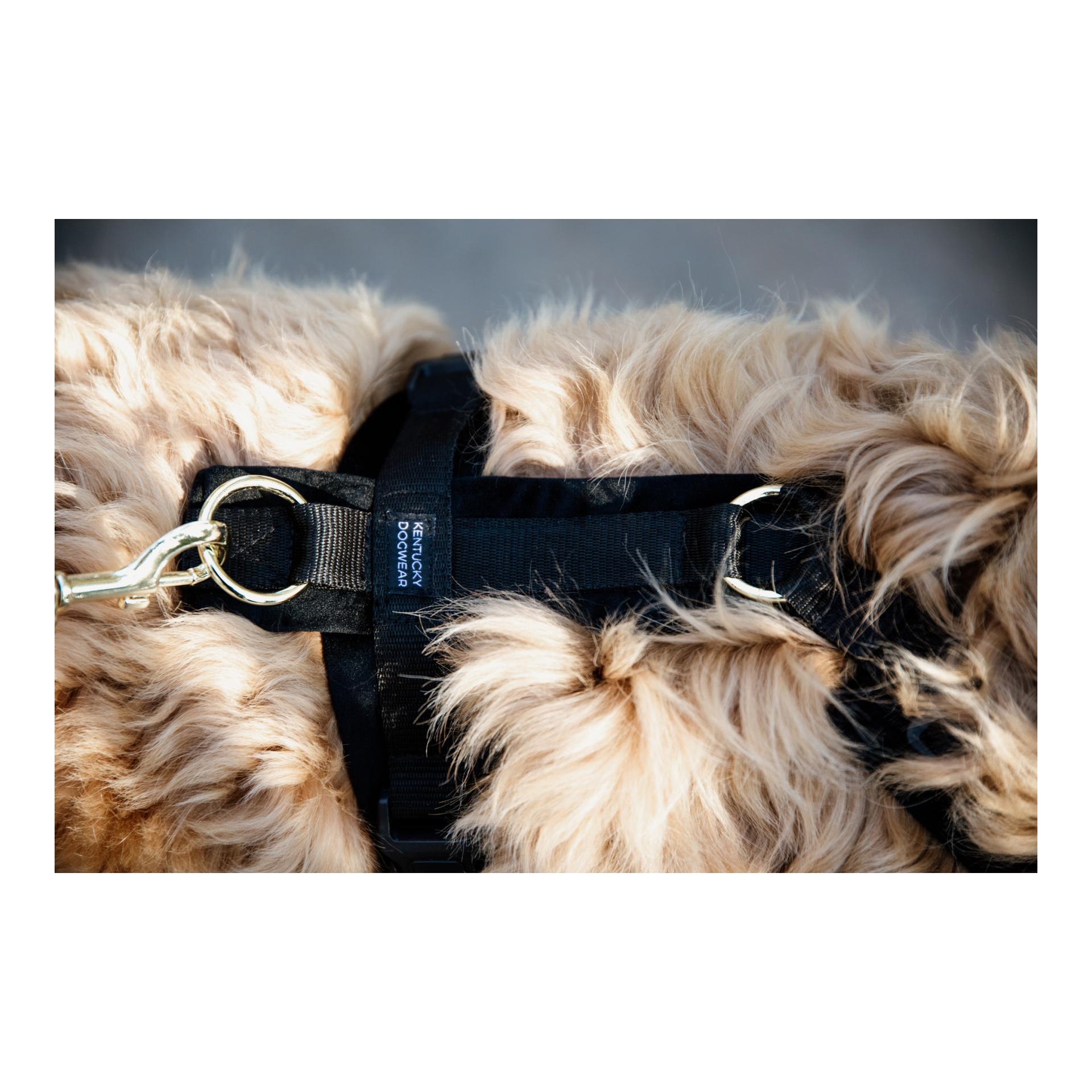 Hundegeschirr Active Velvet