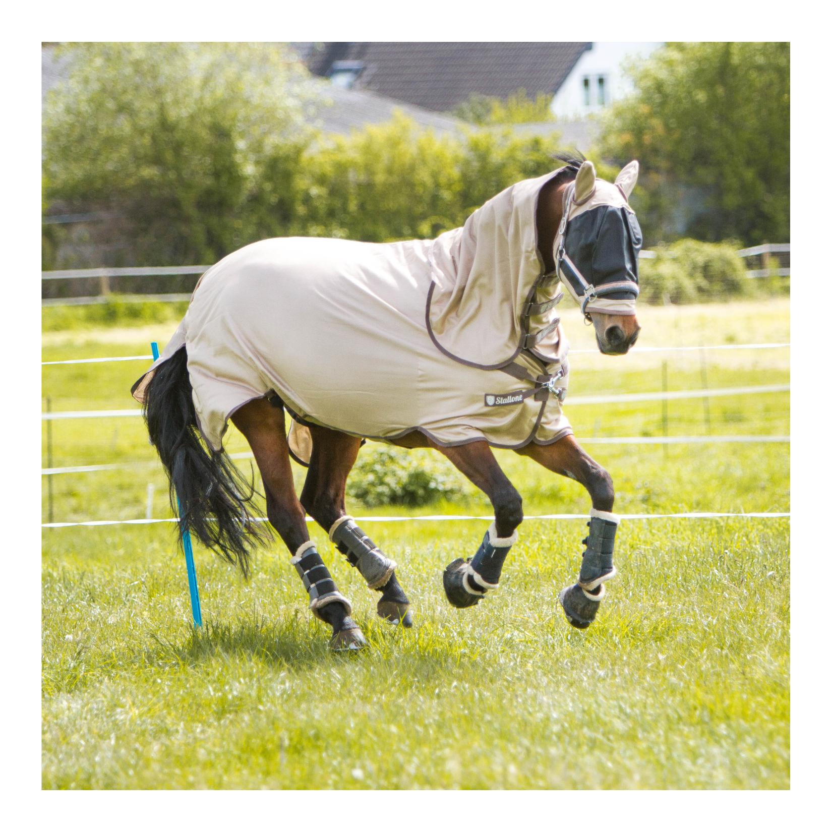 Halsteil Summer Guard