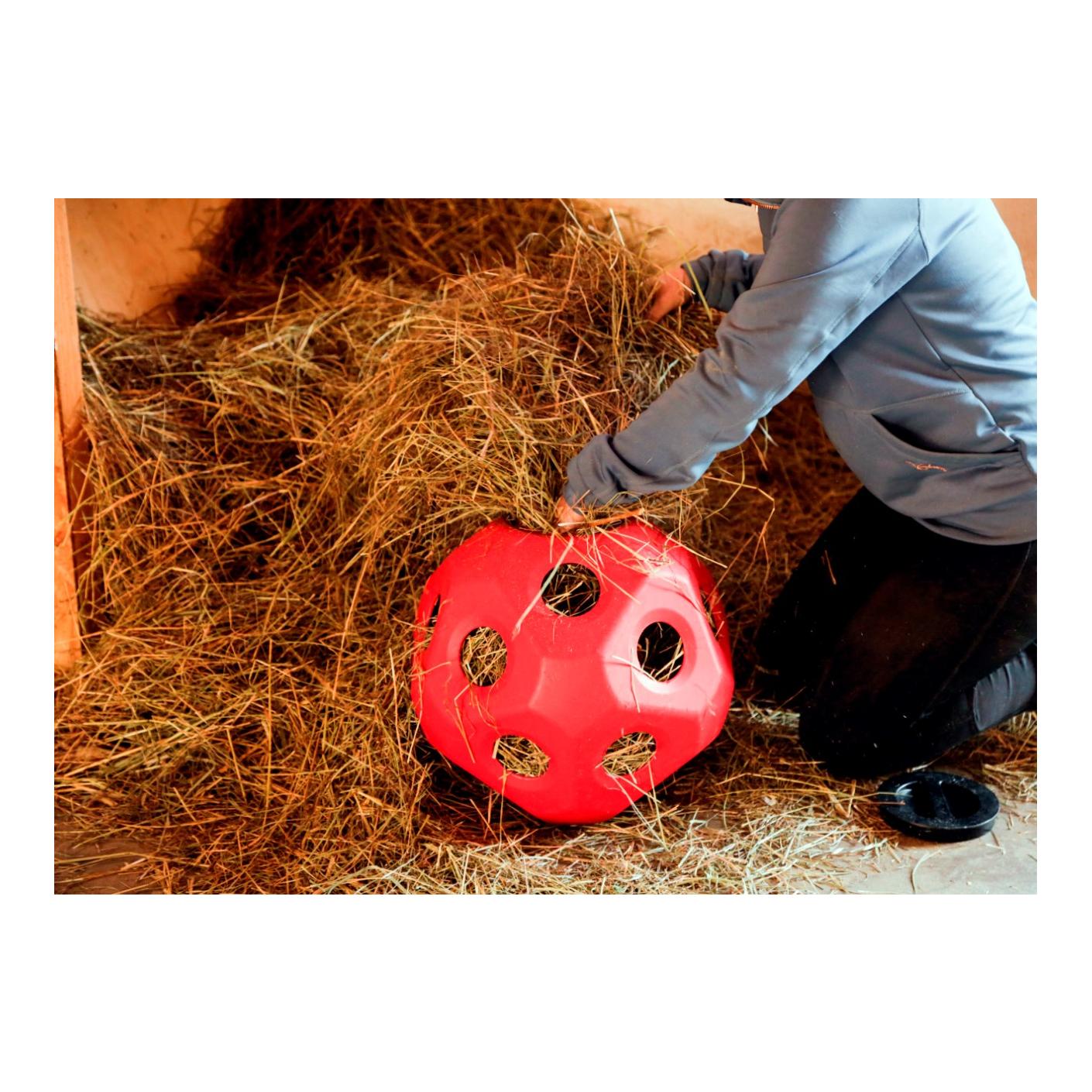 HeuBoy Futterspielball - rot