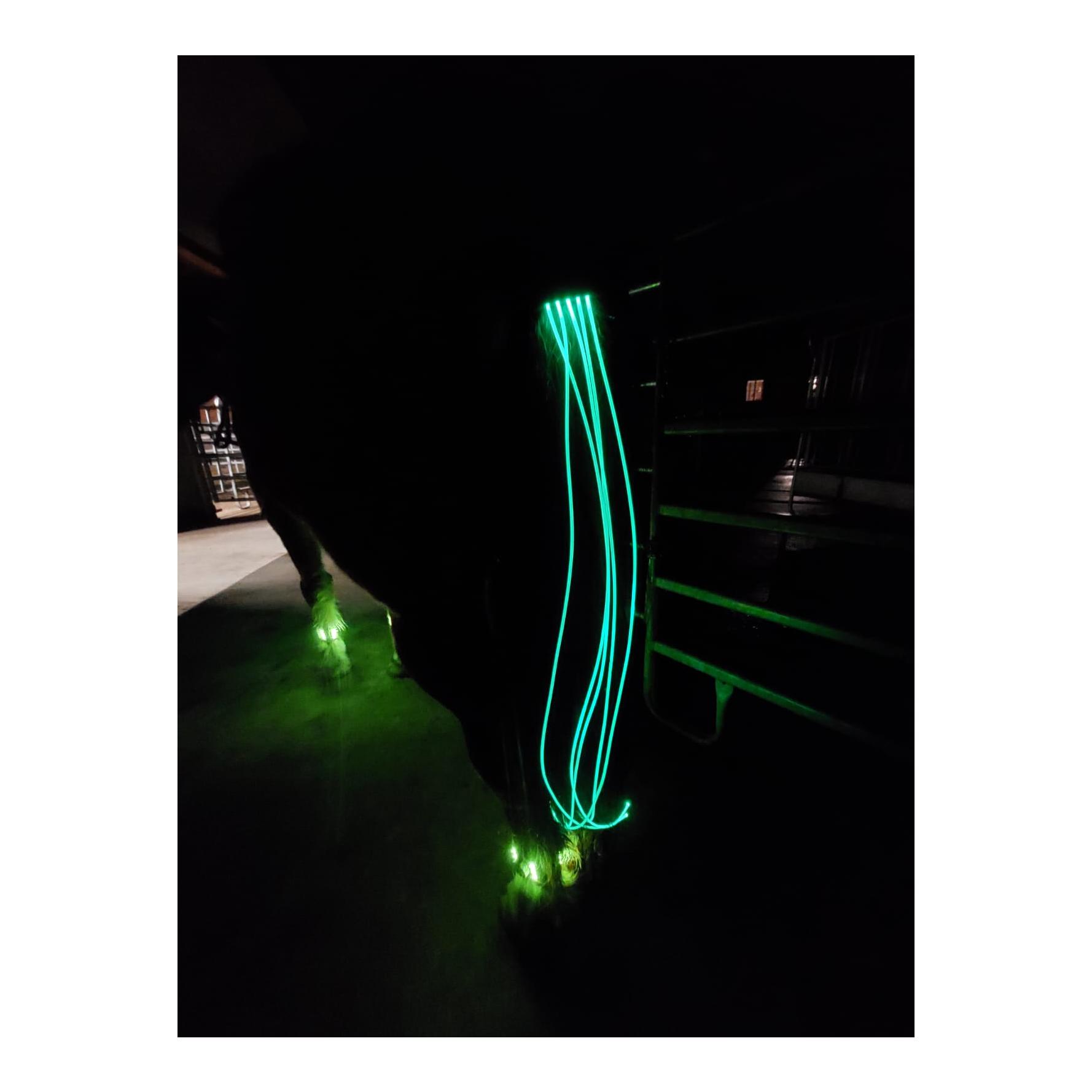 LED Schweifbeleuchtung Long 2.0