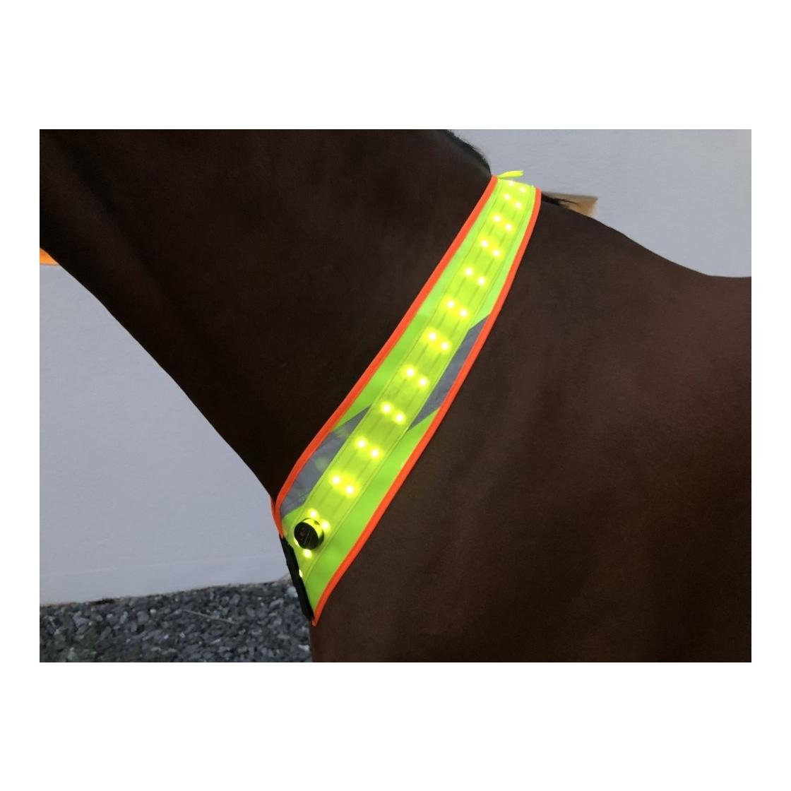 Animal Light LED Leuchthalsriemen 2.0